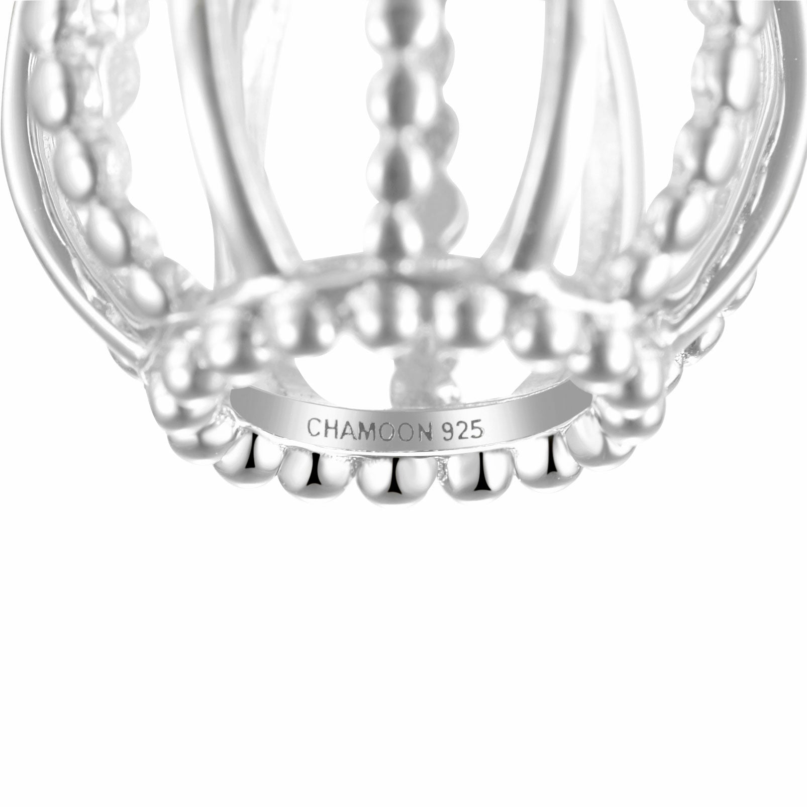 CHAMOON Circle of Dreams Charm Silber