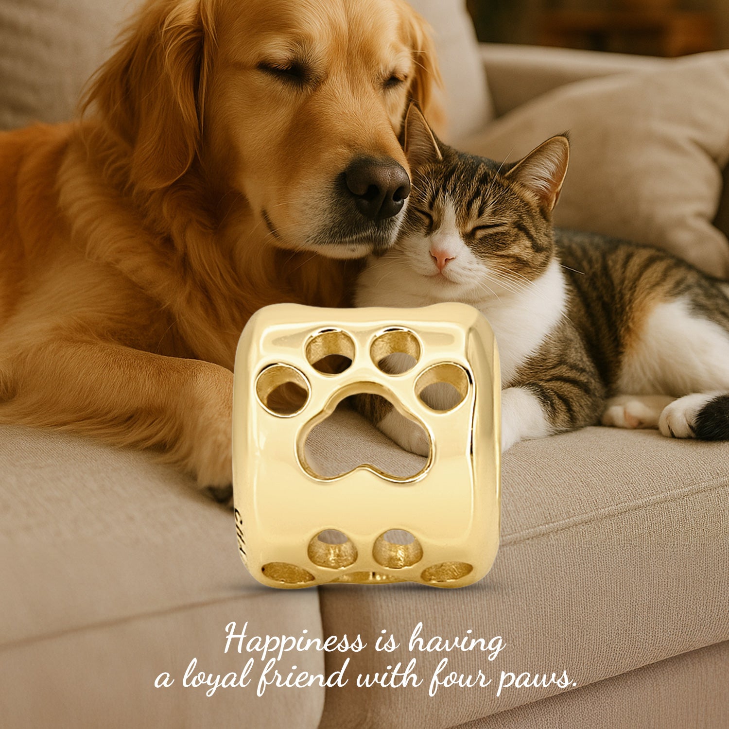 haustier-charm-hund-katze-pfote